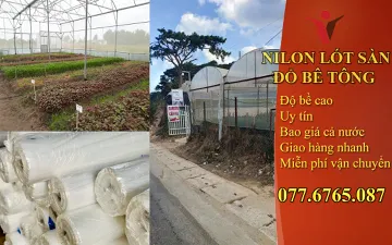 Vũ Khí Lợi Hại Hạn Chế Cỏ Dại Phiền Phức