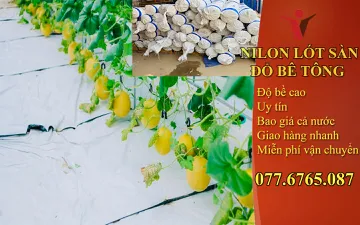 7 Tác Dụng Không Ngờ Từ Màng Phủ Pe 