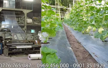 Chuyên Màng Pe - Nilong Đen Ở Tân Phú 