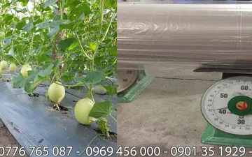 Chuyên Màng Pe - Nilong Đen Ở Bình Dương 