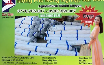 Khám Phá Quy Trình Sản Xuất Của Màng Pe