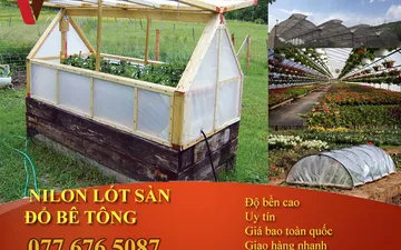 Nhà Màng Pe Mini Hiệu Quả Dành Cho Các Gia Đình Ở  Khu Chung Cư