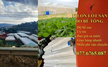 Khảo Sát Màng PE Từ Người Tiêu Dùng