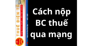 Hướng dẫn nộp tờ khai thuế qua mạng các loại : Tờ khai thuế GTGT, thuế Thu nhập cá nhân, Báo cáo tài chính năm, Quyết toán thuế Thu nhập Doanh Nghiệp năm