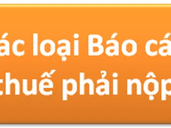 Các loại Báo cáo thuế phải nộp hàng Quý