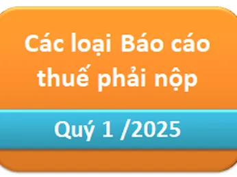 Các loại Báo cáo thuế phải nộp hàng Quý