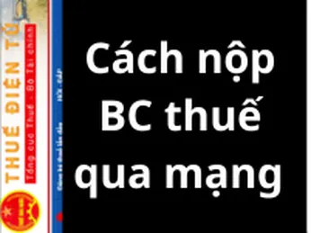 Hướng dẫn nộp tờ khai thuế qua mạng các loại : Tờ khai thuế GTGT, thuế Thu nhập cá nhân, Báo cáo tài chính năm, Quyết toán thuế Thu nhập Doanh Nghiệp năm