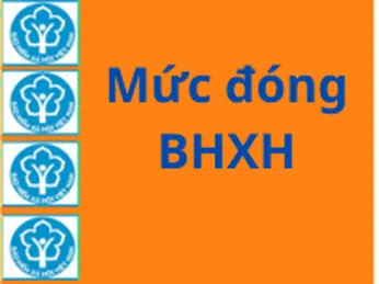 Mức đóng BHXH mới nhất 2023