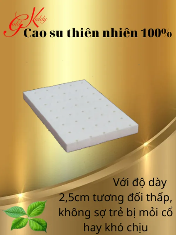 Gối cao su cho trẻ sơ sinh (20*30*2,5)