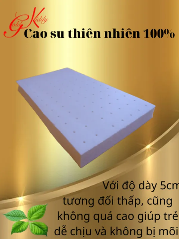 Gối cao su trẻ em dày 5p (20 * 40cm) 