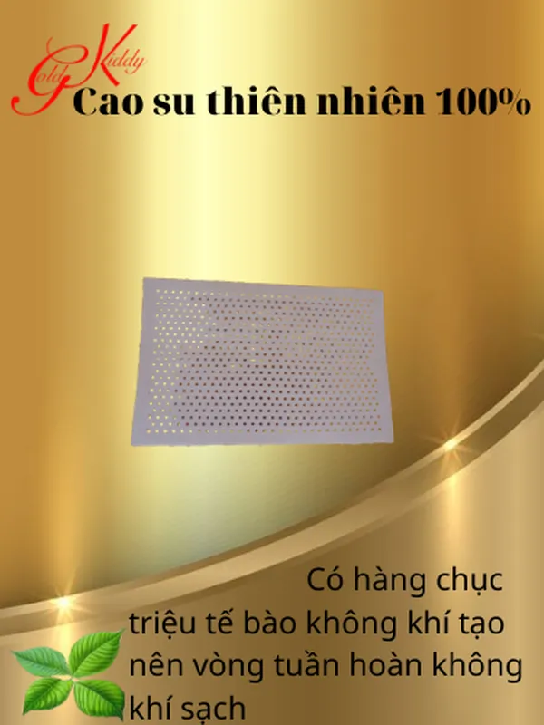 Gối cao su lượn sóng lớn 40*60*10/12 cm