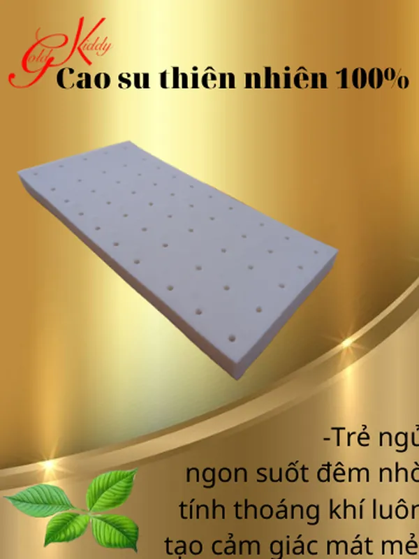 Gối cao su trẻ em dày 2.5p (20 * 40cm)