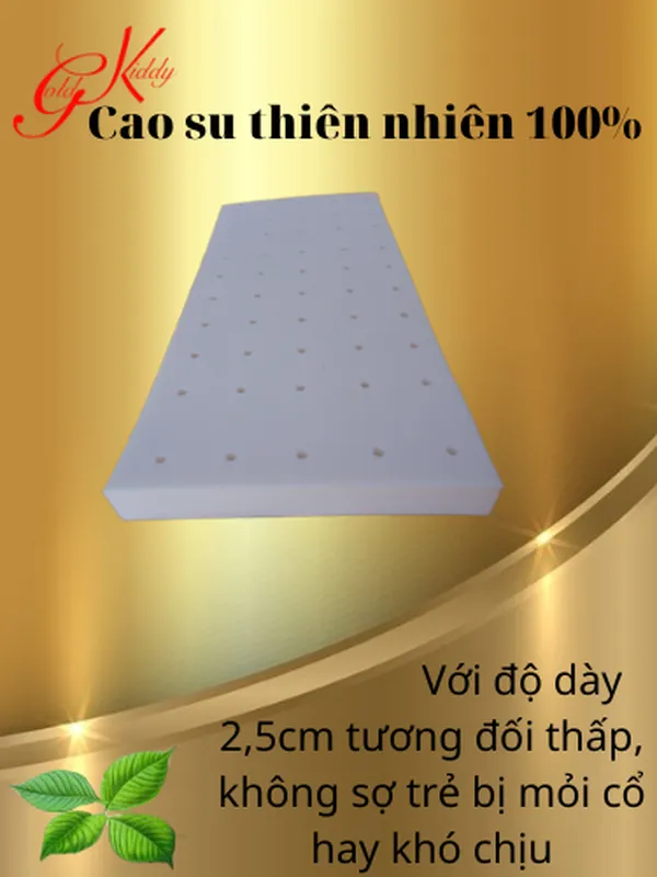 Gối cao su trẻ em dày 2.5p (20 * 40cm)