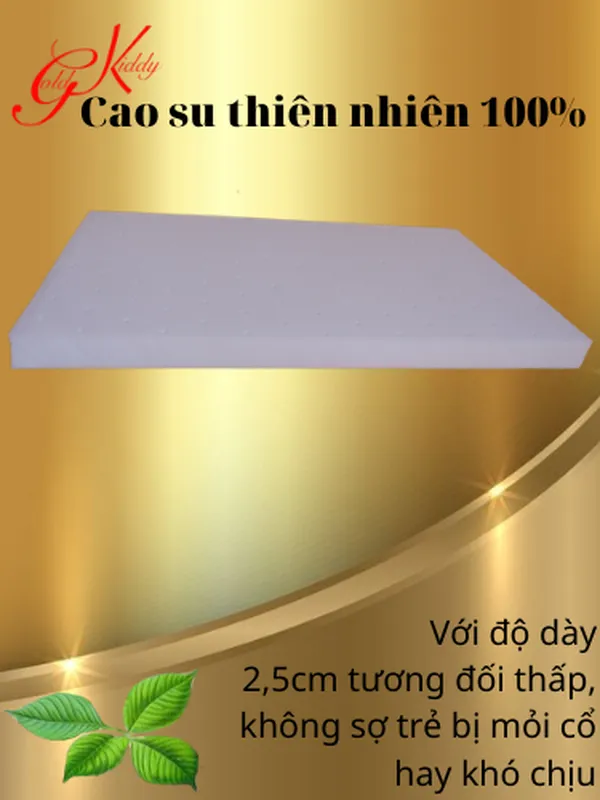 Gối cao su trẻ em dày 2.5p (30*50 cm)