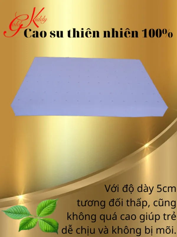 Gối cao su thiên nhiên trẻ em 5p (30*50 cm)
