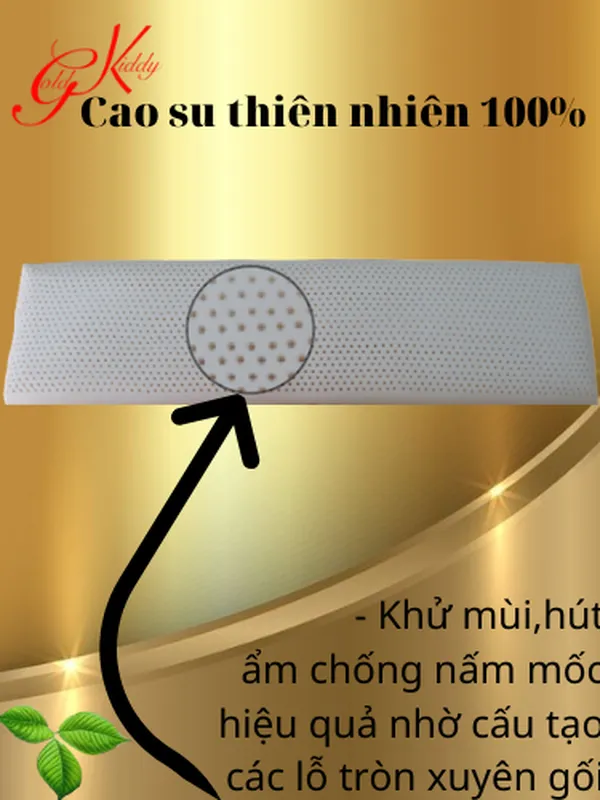 Gối đôi cao su thiên nhiên 150*14 cm