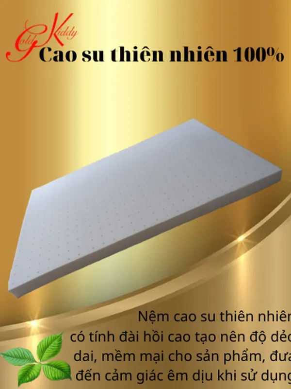 Nệm cao su thiên nhiên 2,5p (cm) 