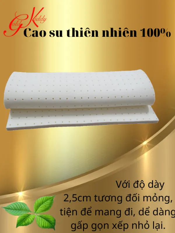 Nệm cao su thiên nhiên 2,5p (cm) 