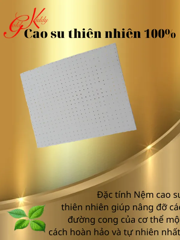 Nệm cao su thiên nhiên 2,5p (cm) 