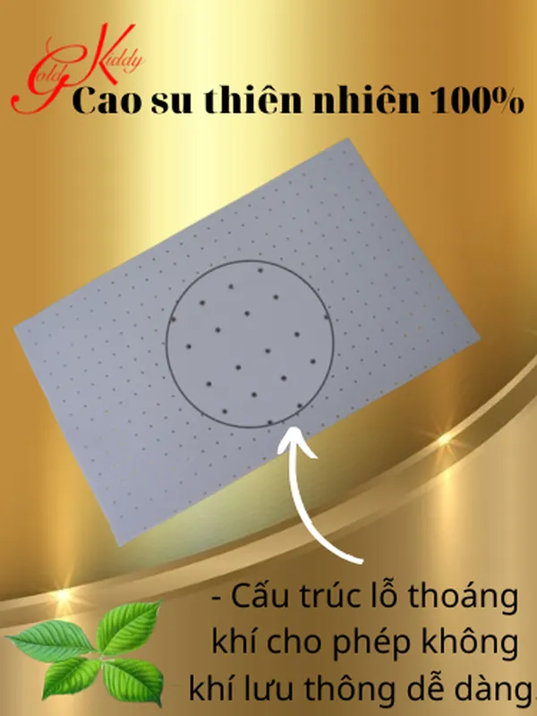 Nệm cao su thiên nhiên 2,5p (cm) 
