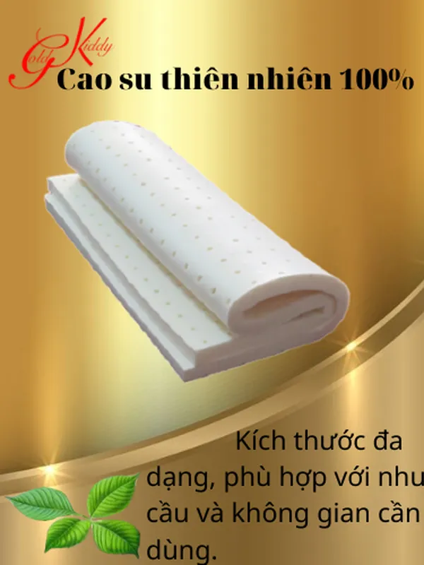 Nệm cao su thiên nhiên 2,5p (cm) 