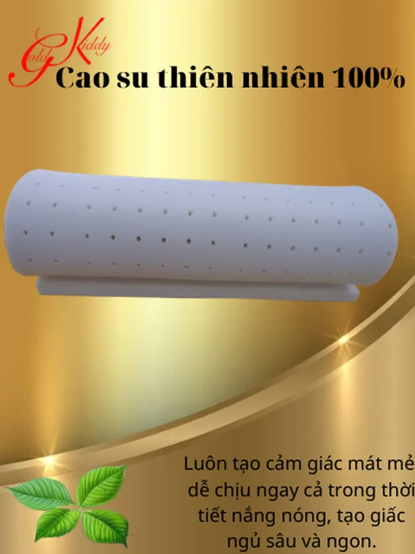 Nệm cao su thiên nhiên 2,5p (cm) 