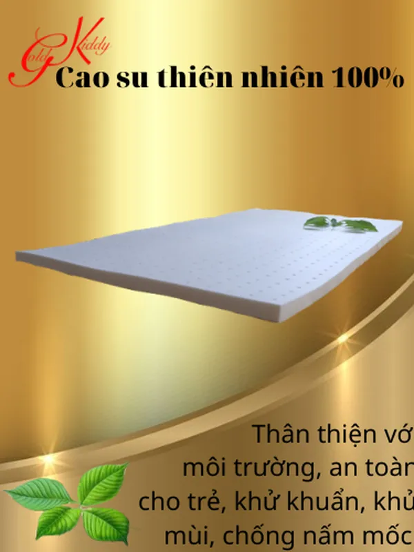 Nệm cao su thiên nhiên 2,5p (cm) 