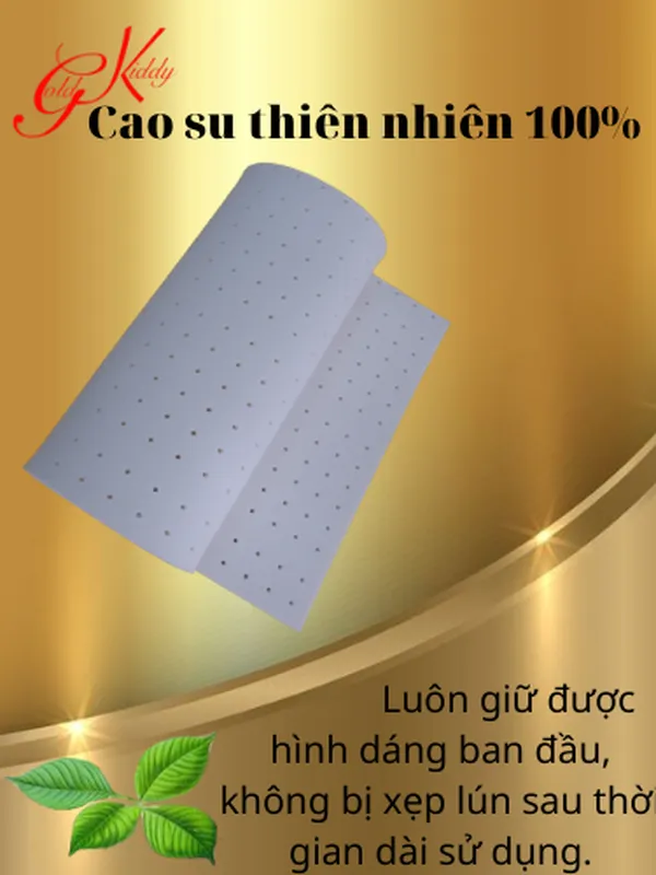 Nệm cao su thiên nhiên 2,5p (cm) 