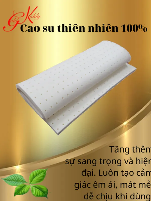 Nệm cao su thiên nhiên 2,5p (cm) 