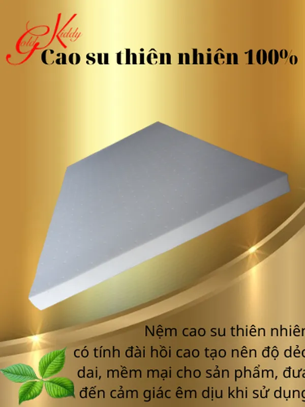 Nệm cao su thiên nhiên 5p (cm)