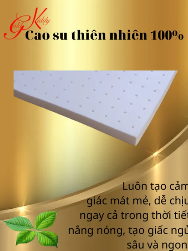 Nệm cao su thiên nhiên 5p (cm)