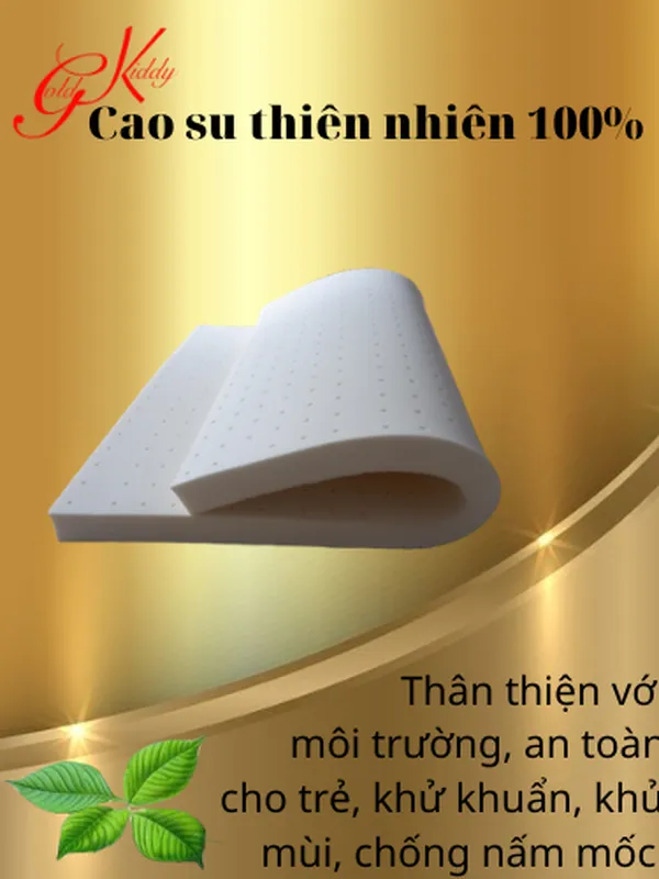 Nệm cao su thiên nhiên 5p (cm)