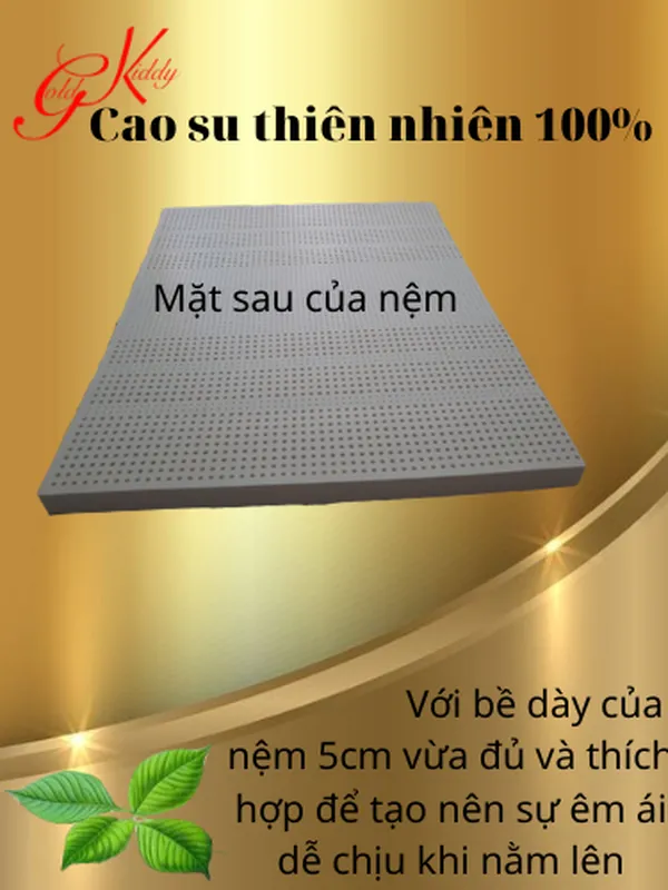 Nệm cao su thiên nhiên gai massage 180*200*5 cm