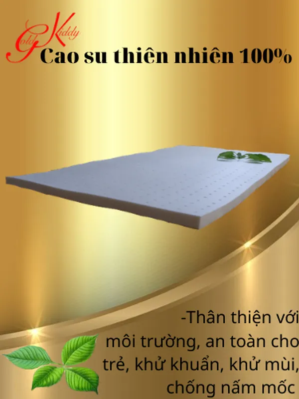 Nệm cao su trẻ em 2,5 cm (p)