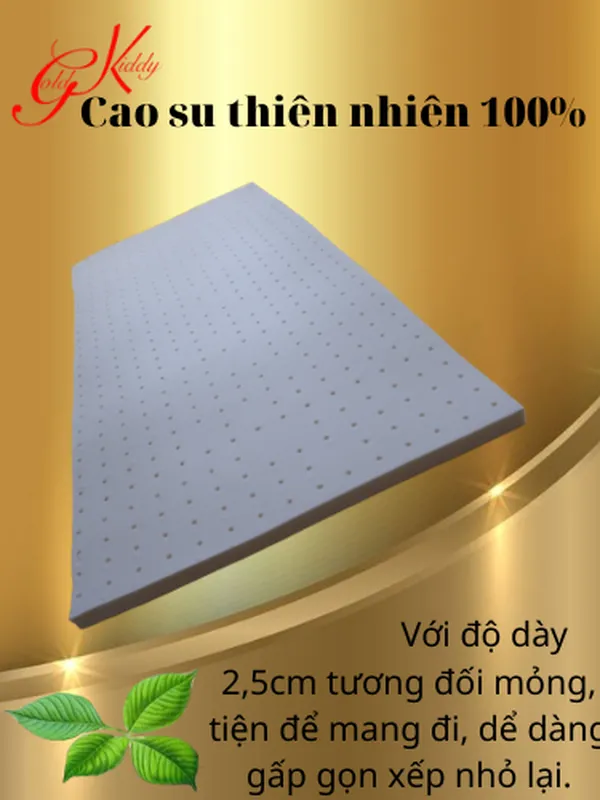 Nệm cao su trẻ em 2,5 cm (p)