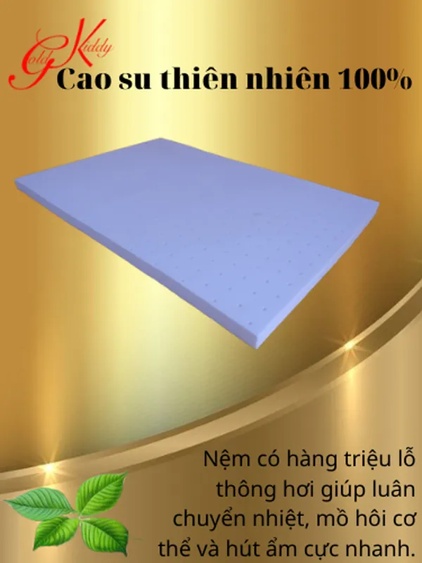 Trọn bộ nệm xếp văn phòng cao su thiên nhiên 2,5 p