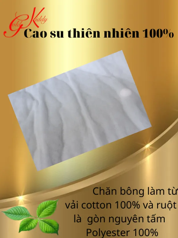 Trọn bộ nệm xếp văn phòng cao su thiên nhiên 2,5 p