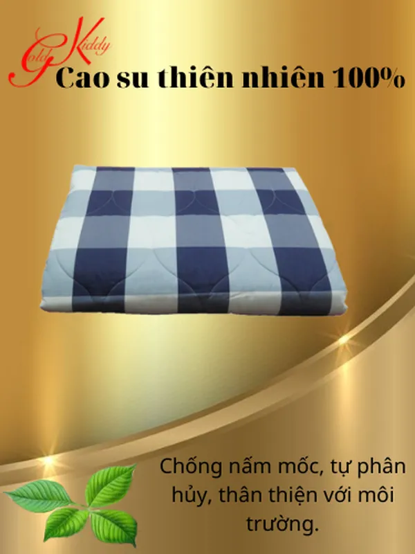 Trọn bộ nệm xếp văn phòng cao su thiên nhiên 2,5 p