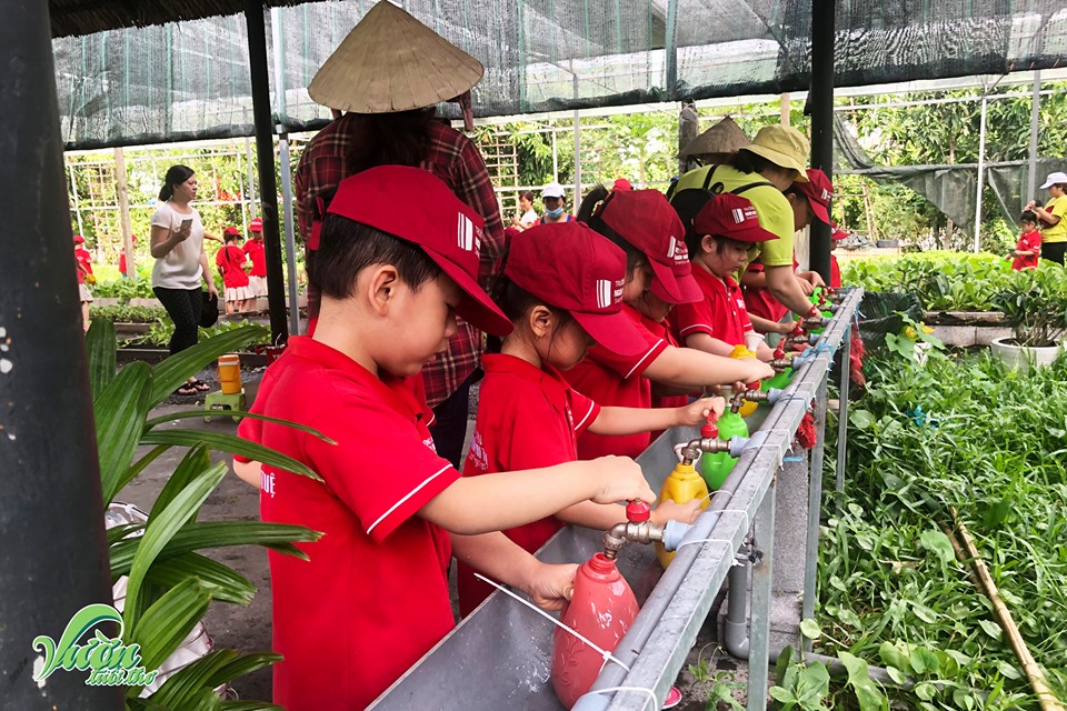 Trường Mầm Non Ngôi Nhà Trí Tuệ