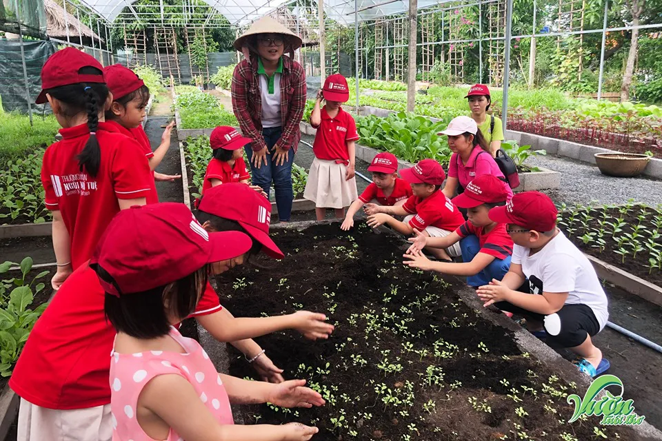 Trường Mầm Non Ngôi Nhà Trí Tuệ