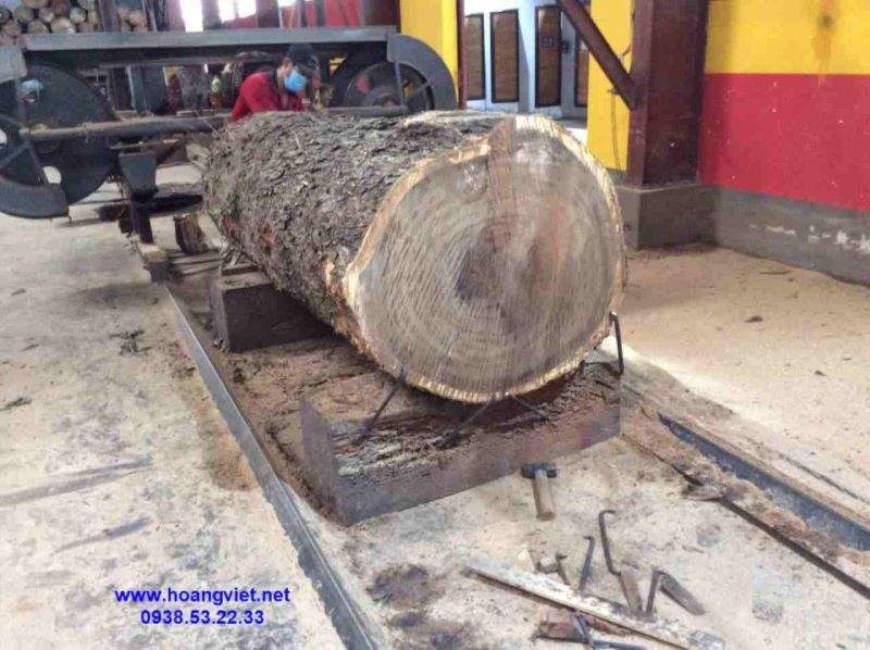 Gỗ me tây tròn Gỗ me tây tròn