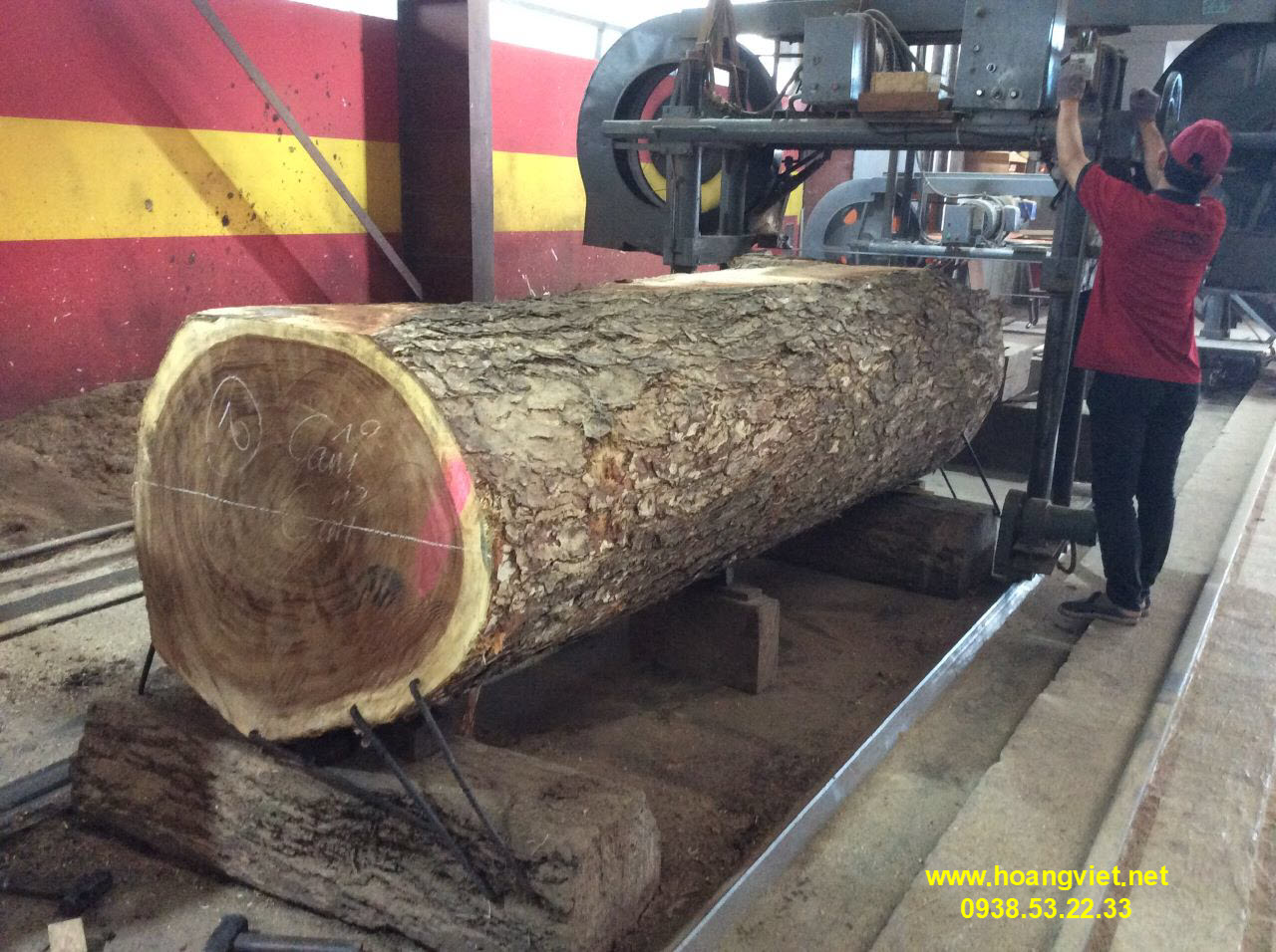 Gỗ me tây dạng bi tròn Gỗ me tây dạng bi tròn