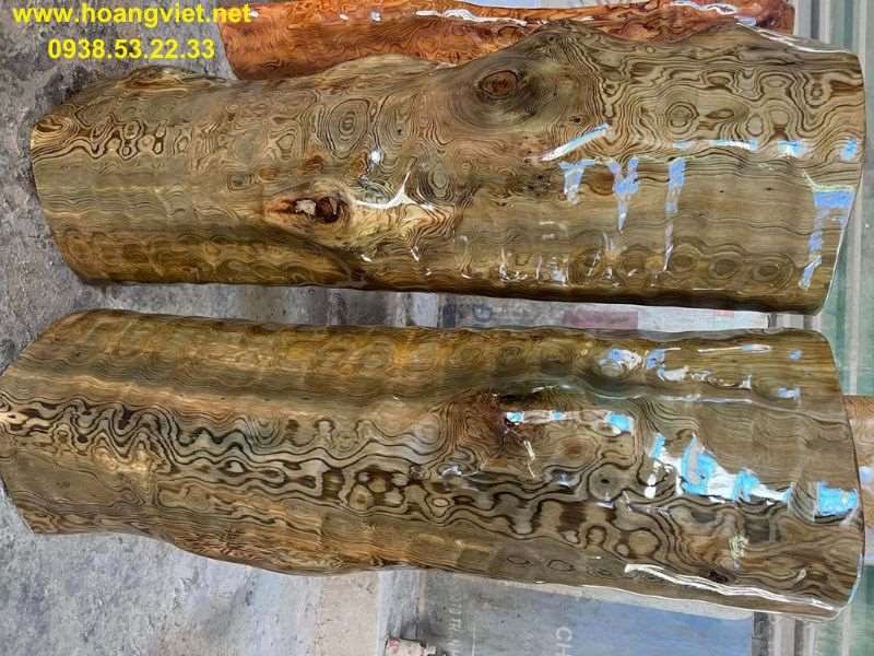 Gỗ thủy tùng Daklak Gỗ thủy tùng Daklak