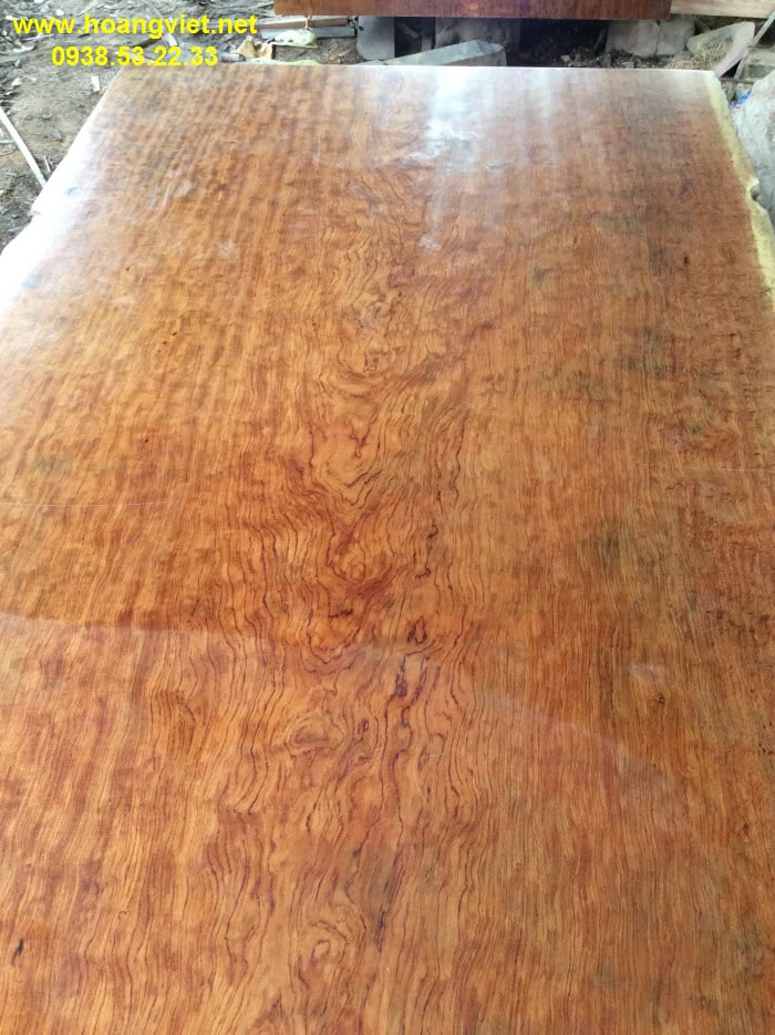 Bộ ngựa gỗ Cẩm lai Nam Phi