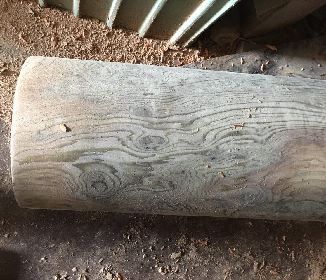 Gỗ thủy tùng Daklak Gỗ thủy tùng Daklak