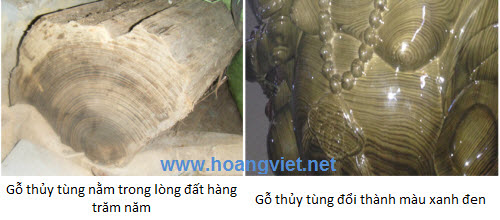 Lộc bình gỗ quý thủy tùng Lộc bình gỗ quý thủy tùng