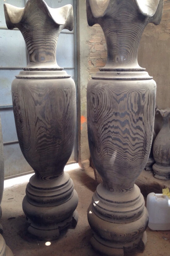 Lộc bình thủy tùng ở daklak Lộc bình thủy tùng ở daklak