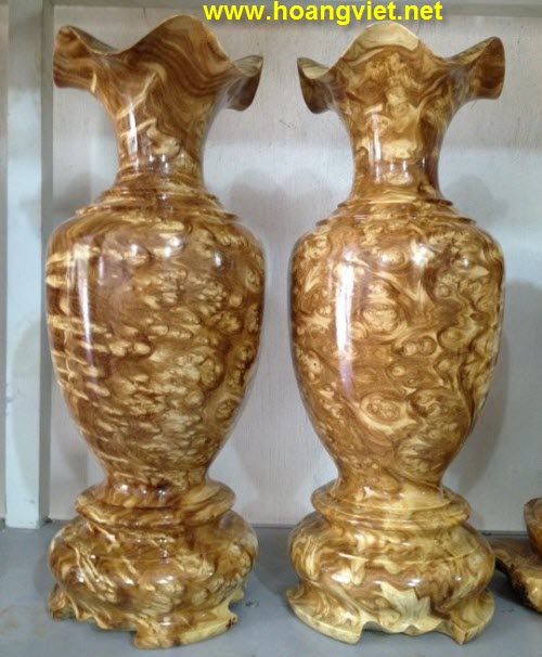 Lộc bình nu nghiến Lộc bình nu nghiến