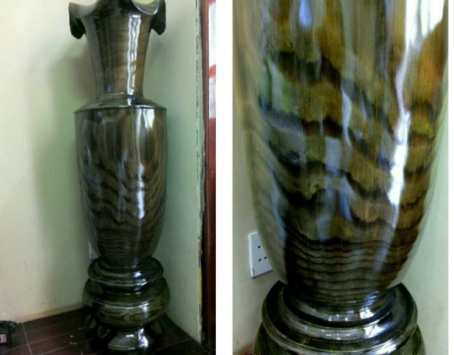 Lộc bình gỗ thông, không phải gỗ thủy tùng Lộc bình gỗ thông, không phải gỗ thủy tùng