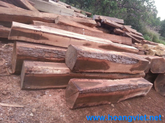 Gộ muồng đen hộp thô Gộ muồng đen hộp thô